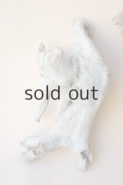 画像2: 流木根セット (2)