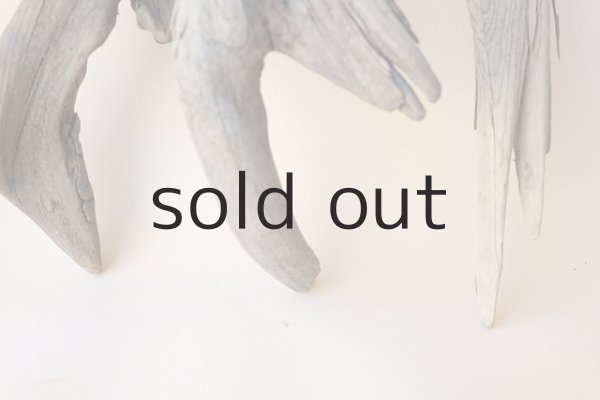 画像6: 変形流木セット (6)