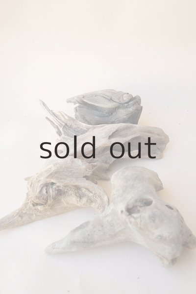 画像7: 変形流木セット (7)