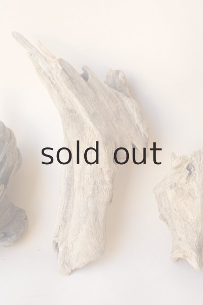 画像3: 変形流木セット (3)