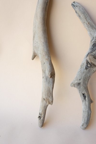 画像2: 流木根セット (2)