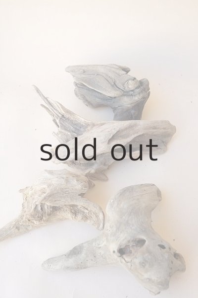 画像8: 変形流木セット (8)