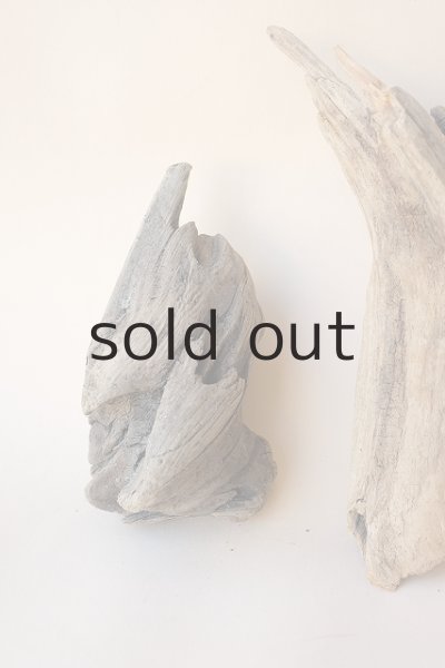 画像2: 変形流木セット (2)