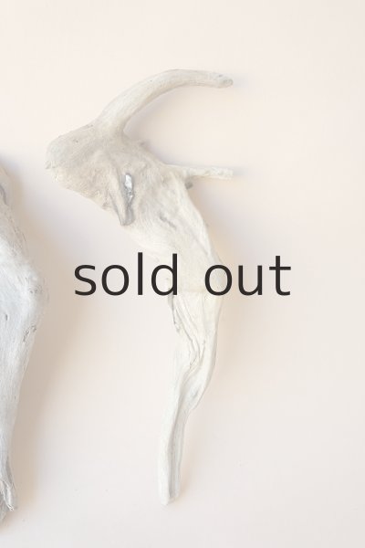 画像3: 流木根セット (3)