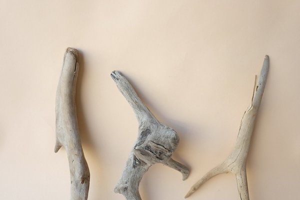 画像5: 流木根セット (5)