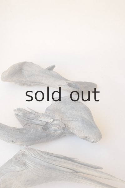 画像8: 変形流木セット (8)