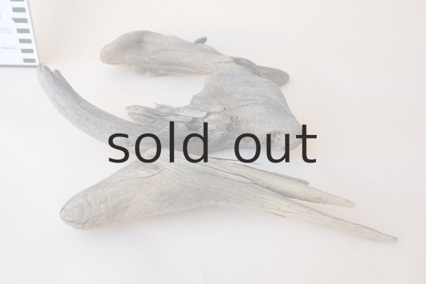 画像7: 変形流木セット (7)