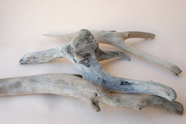 画像6: 流木根セット (6)