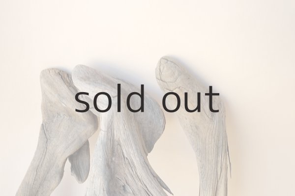 画像5: 変形流木セット (5)