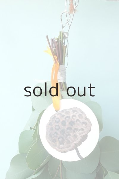 画像2: Dry plants for decor ユーカリポポラスシンプルスワッグ (2)