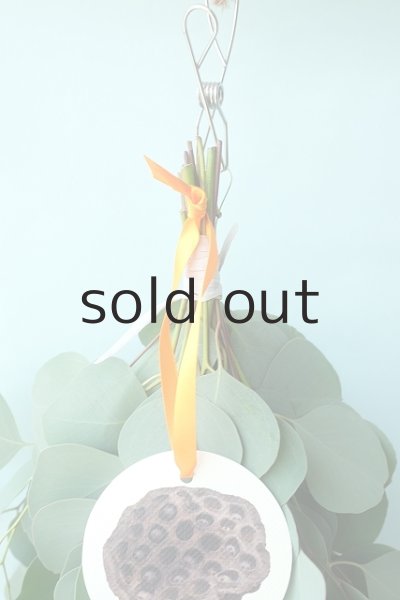 画像2: Dry plants for decor ユーカリポポラスシンプルスワッグ (2)