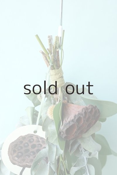 画像2: Dry plants for decor ユーカリ4種シンプルスワッグ (2)