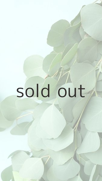 画像4: Dry plants for decor ユーカリポポラスシンプルスワッグ (4)