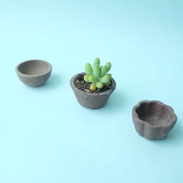 画像5: ミニ素焼き鉢1.5寸・バラ（USED） (5)