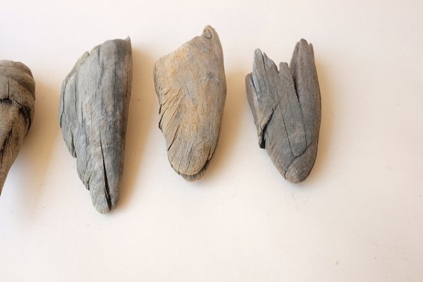 画像3: 変形流木セット (3)