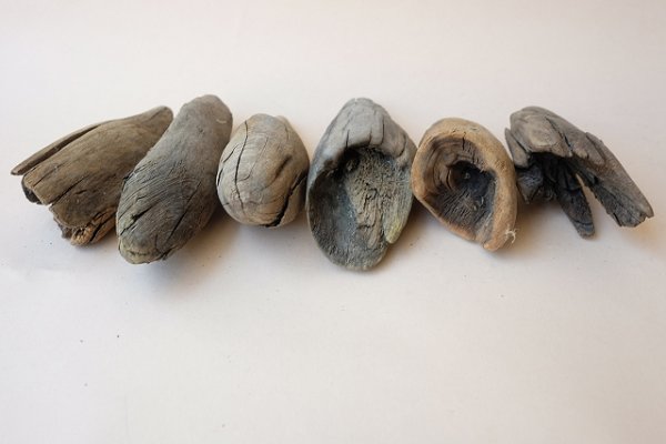 画像4: 変形流木セット (4)