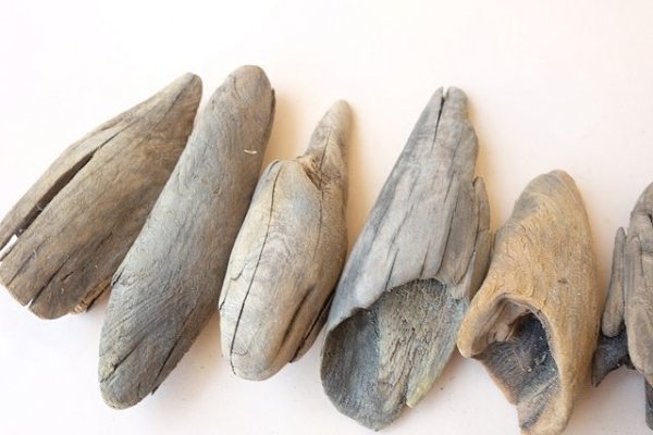 画像5: 変形流木セット (5)