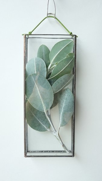 壁掛け用のフラワーベースを使って「お部屋でグレイ」に！