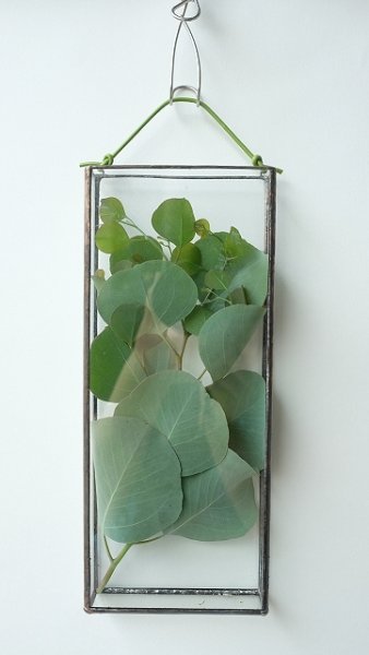 壁掛け用のフラワーベースを使って「お部屋でグレイ」に！