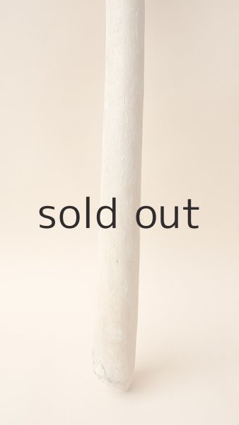 画像2: 棒流木 (2)