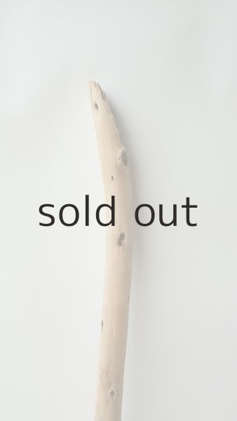 画像4: 棒流木 (4)