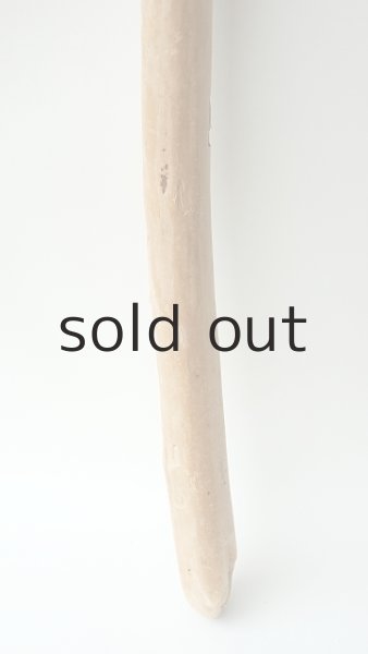 画像2: 棒流木 (2)