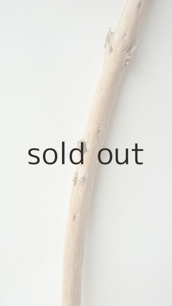 画像3: 棒流木 (3)