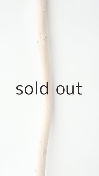 画像3: 棒流木 (3)