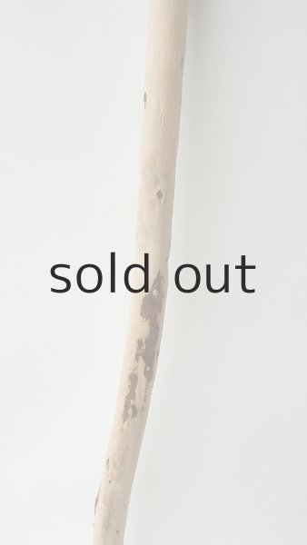 画像3: 棒流木 (3)