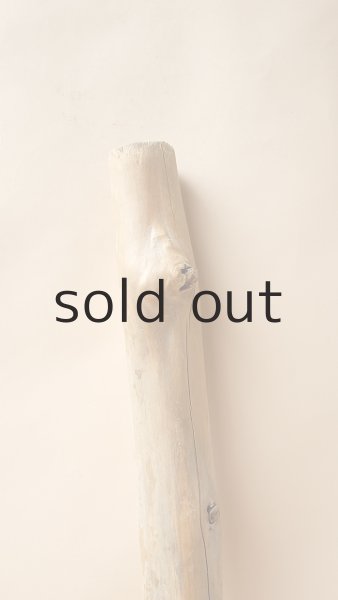 画像3: 幹流木 (3)