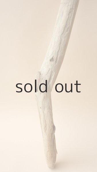 画像2: 棒流木 (2)