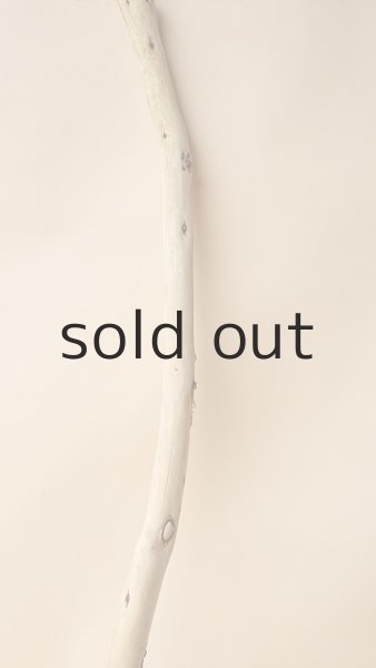 画像3: 棒流木 (3)