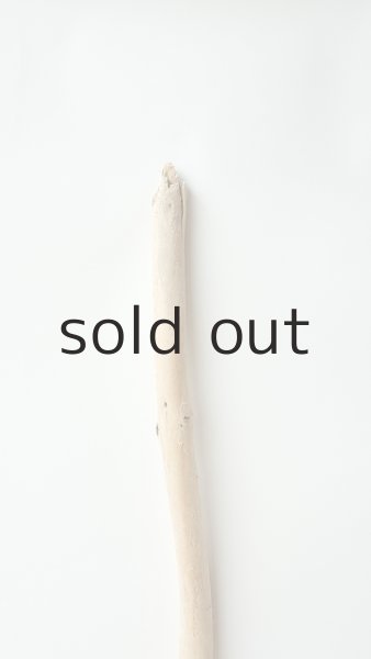 画像4: 棒流木 (4)