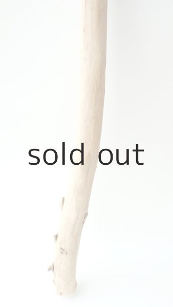 画像2: 棒流木 (2)