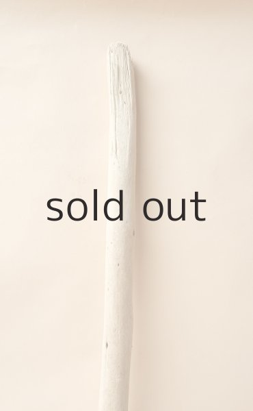 画像4: 棒流木 (4)