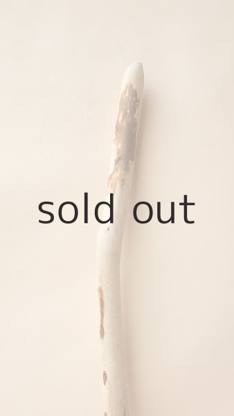 画像4: 棒流木 (4)