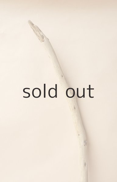 画像4: 棒流木 (4)