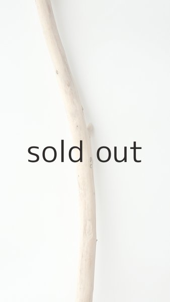 画像3: 棒流木 (3)