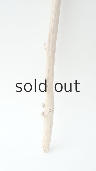 画像2: 棒流木 (2)