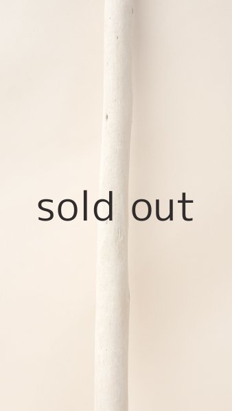 画像3: 棒流木 (3)