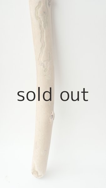 画像5: 棒流木 (5)