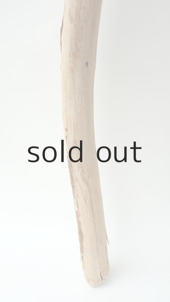 画像2: 棒流木 (2)