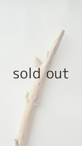 画像4: 棒流木 (4)