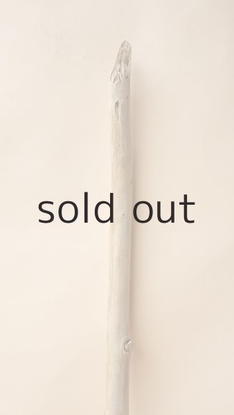 画像3: 棒流木 (3)