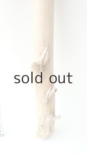 画像5: 棒流木 (5)