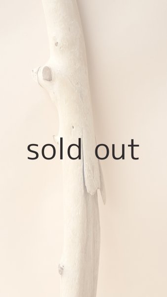 画像3: 幹流木 (3)