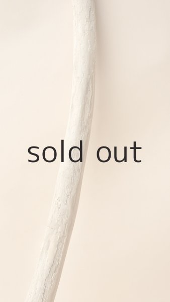 画像3: 棒流木 (3)