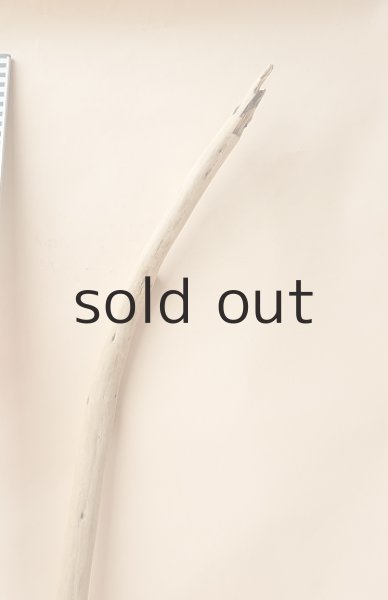 画像5: 棒流木 (5)