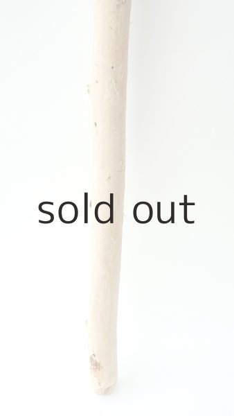 画像2: 棒流木 (2)