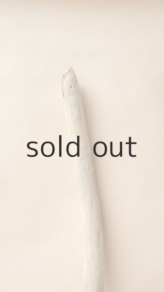 画像4: 棒流木 (4)